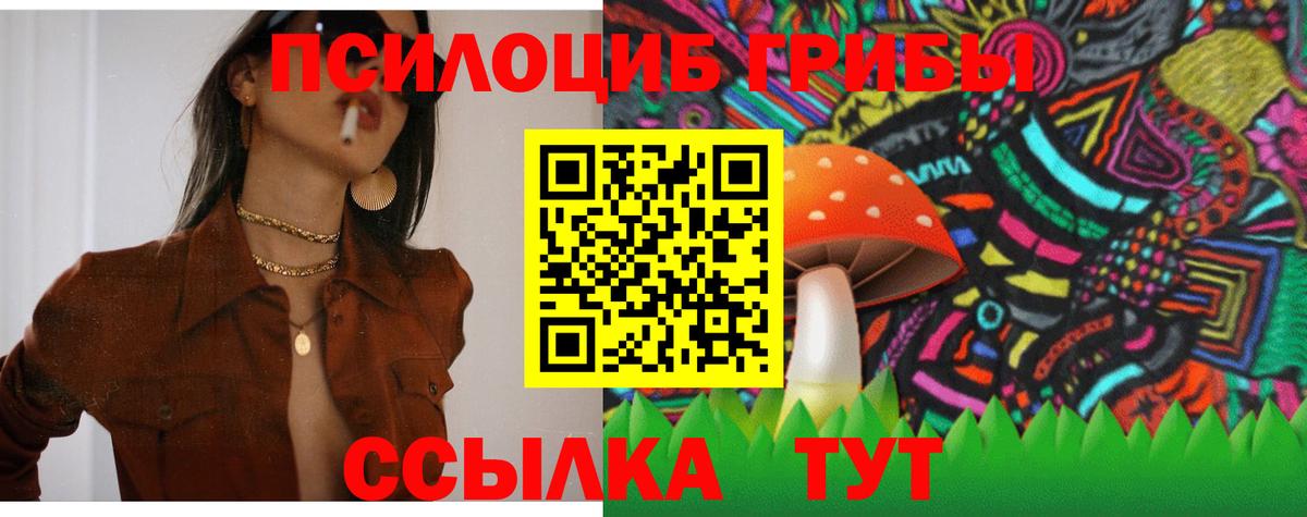 Псилоцибиновые грибы мицелий  Галлюциногенные грибы Psilocybe  Вход с VPN  Унеча 